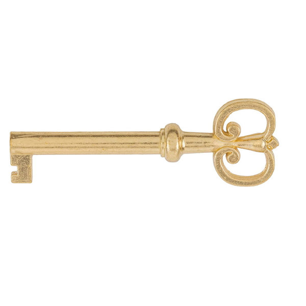 UNIQANTIQ HARDWARE SUPPLY Brass Plated Hollow Barrel Skeleton Key for
